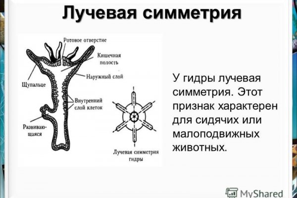 2krn cc кракен