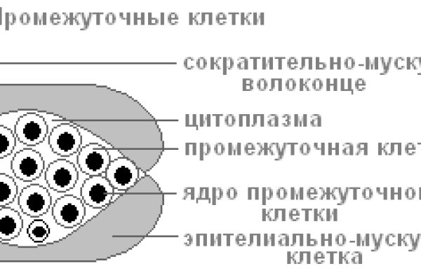 Kraken darknet зеркала кракен обход