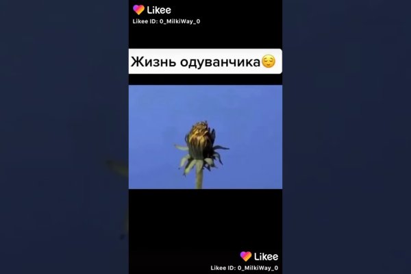 Кракен вход рабочий